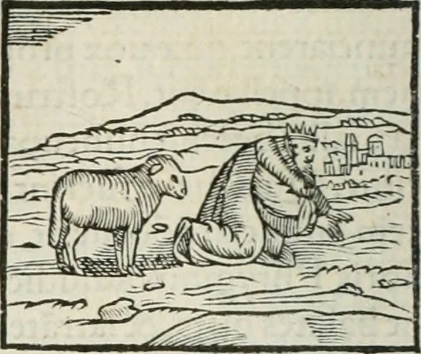 An illustration from Hieroglyphica, siue, De sacris Aegyptiorum literis commentarii, Ioannis Pierii Valeriani Bolzanii Bellunensis, 1556, leaf 153