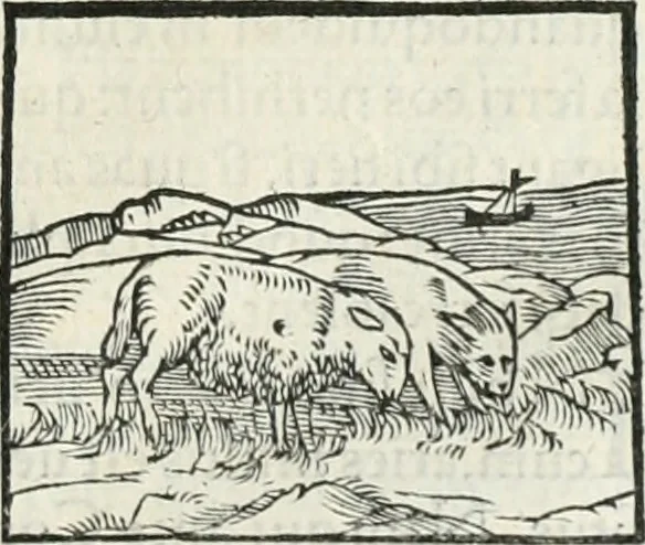 An illustration from Hieroglyphica, siue, De sacris Aegyptiorum literis commentarii, Ioannis Pierii Valeriani Bolzanii Bellunensis, 1556, leaf 158