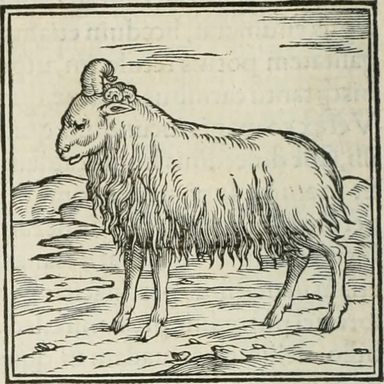 An illustration from Hieroglyphica, siue, De sacris Aegyptiorum literis commentarii, Ioannis Pierii Valeriani Bolzanii Bellunensis, 1556, leaf 159