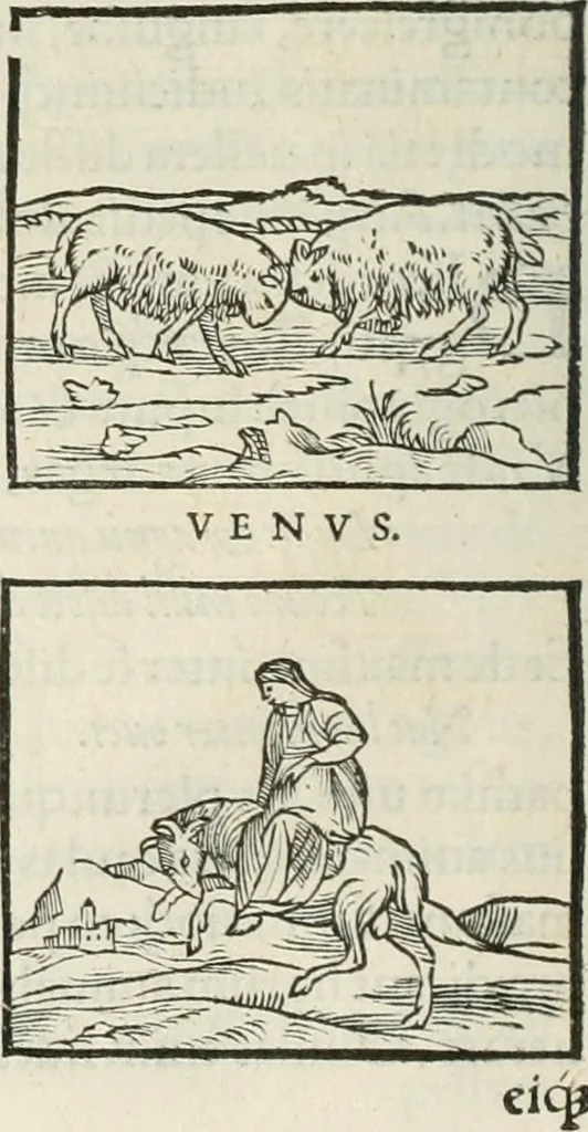 An illustration from Hieroglyphica, siue, De sacris Aegyptiorum literis commentarii, Ioannis Pierii Valeriani Bolzanii Bellunensis, 1556, leaf 159