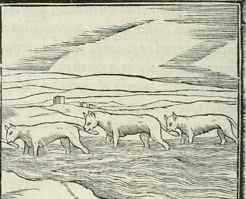 An illustration from Hieroglyphica, siue, De sacris Aegyptiorum literis commentarii, Ioannis Pierii Valeriani Bolzanii Bellunensis, 1556, leaf 163