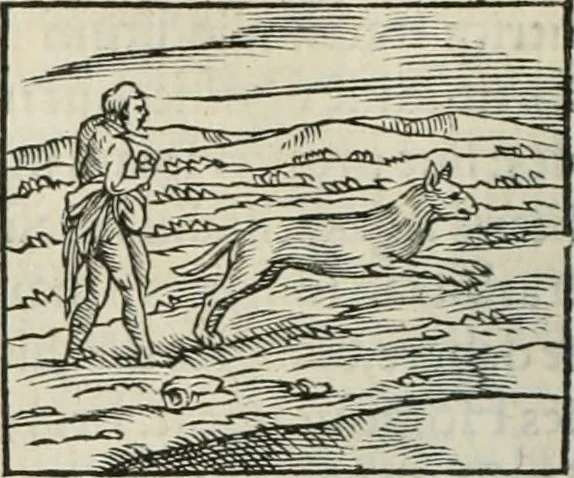 An illustration from Hieroglyphica, siue, De sacris Aegyptiorum literis commentarii, Ioannis Pierii Valeriani Bolzanii Bellunensis, 1556, leaf 165