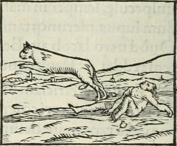 An illustration from Hieroglyphica, siue, De sacris Aegyptiorum literis commentarii, Ioannis Pierii Valeriani Bolzanii Bellunensis, 1556, leaf 165