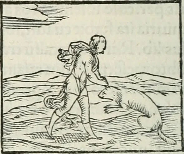 An illustration from Hieroglyphica, siue, De sacris Aegyptiorum literis commentarii, Ioannis Pierii Valeriani Bolzanii Bellunensis, 1556, leaf 167