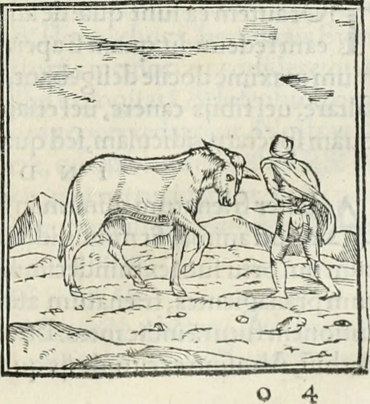 An illustration from Hieroglyphica, siue, De sacris Aegyptiorum literis commentarii, Ioannis Pierii Valeriani Bolzanii Bellunensis, 1556, leaf 180