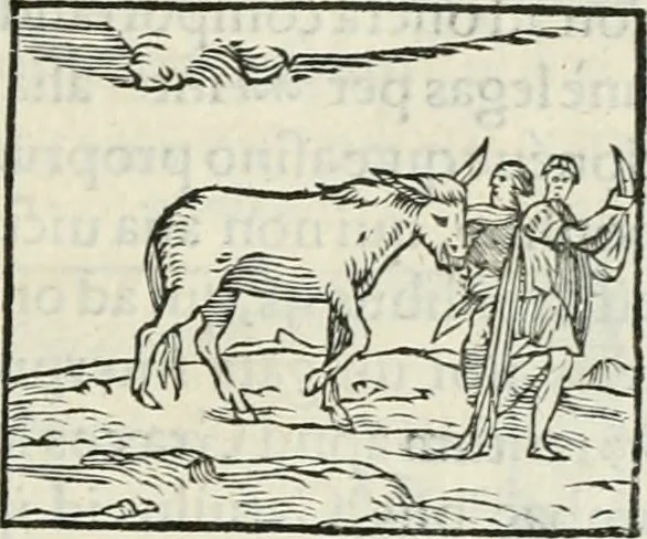 An illustration from Hieroglyphica, siue, De sacris Aegyptiorum literis commentarii, Ioannis Pierii Valeriani Bolzanii Bellunensis, 1556, leaf 182