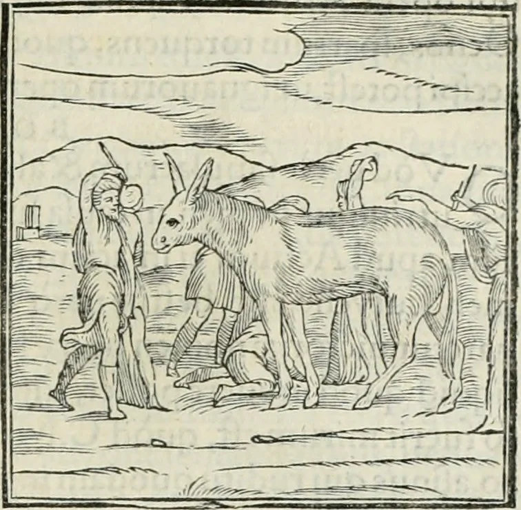 An illustration from Hieroglyphica, siue, De sacris Aegyptiorum literis commentarii, Ioannis Pierii Valeriani Bolzanii Bellunensis, 1556, leaf 184