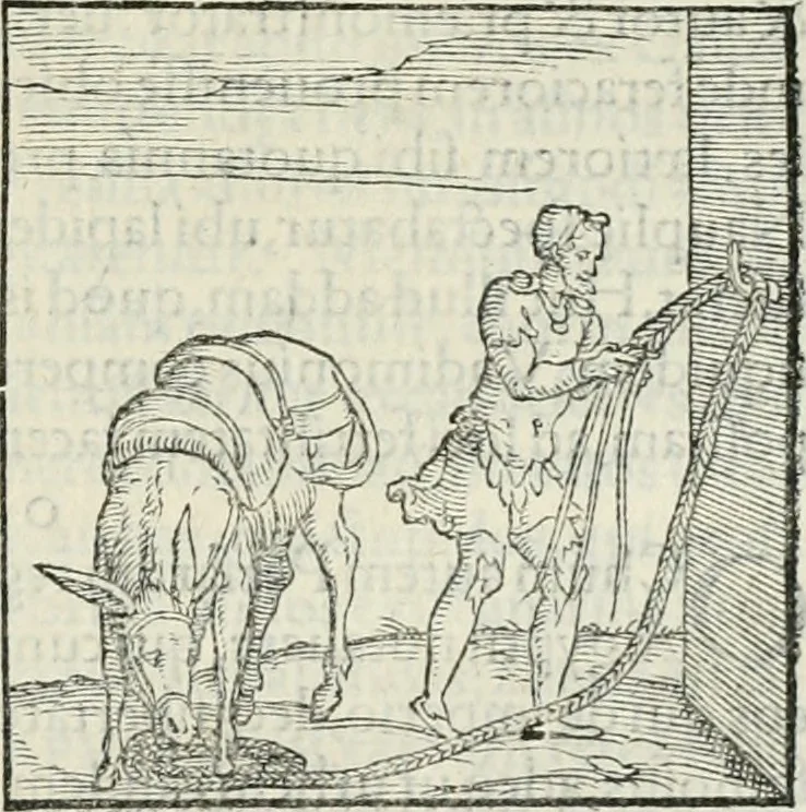 An illustration from Hieroglyphica, siue, De sacris Aegyptiorum literis commentarii, Ioannis Pierii Valeriani Bolzanii Bellunensis, 1556, leaf 184
