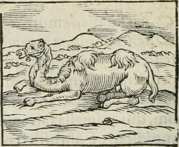 An illustration from Hieroglyphica, siue, De sacris Aegyptiorum literis commentarii, Ioannis Pierii Valeriani Bolzanii Bellunensis, 1556, leaf 191