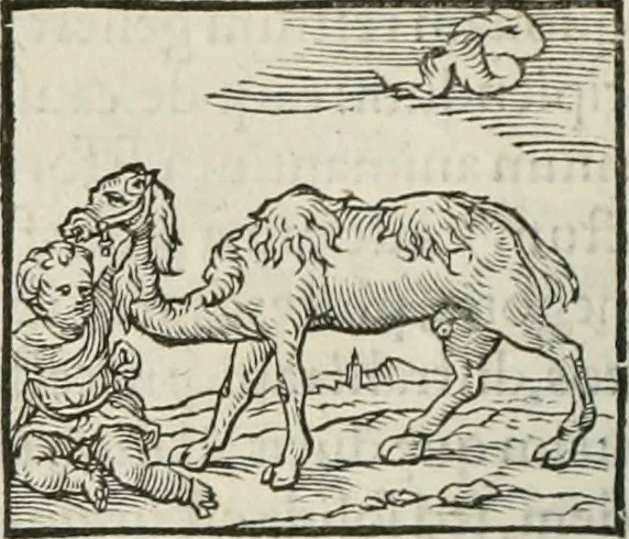 An illustration from Hieroglyphica, siue, De sacris Aegyptiorum literis commentarii, Ioannis Pierii Valeriani Bolzanii Bellunensis, 1556, leaf 193