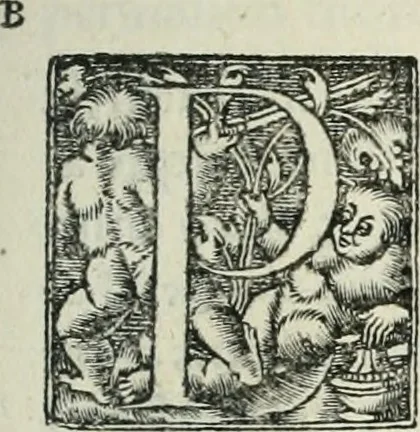 An illustration from Hieroglyphica, siue, De sacris Aegyptiorum literis commentarii, Ioannis Pierii Valeriani Bolzanii Bellunensis, 1556, leaf 194