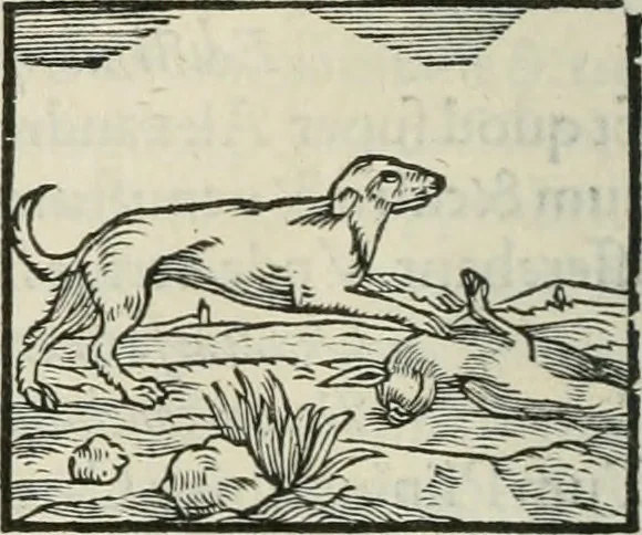 An illustration from Hieroglyphica, siue, De sacris Aegyptiorum literis commentarii, Ioannis Pierii Valeriani Bolzanii Bellunensis, 1556, leaf 197