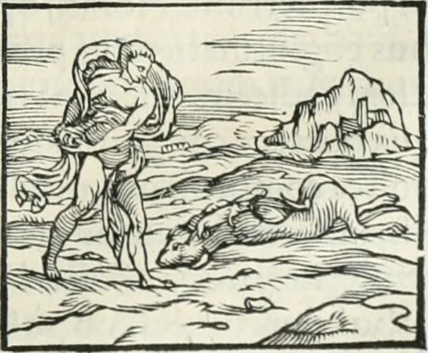An illustration from Hieroglyphica, siue, De sacris Aegyptiorum literis commentarii, Ioannis Pierii Valeriani Bolzanii Bellunensis, 1556, leaf 202