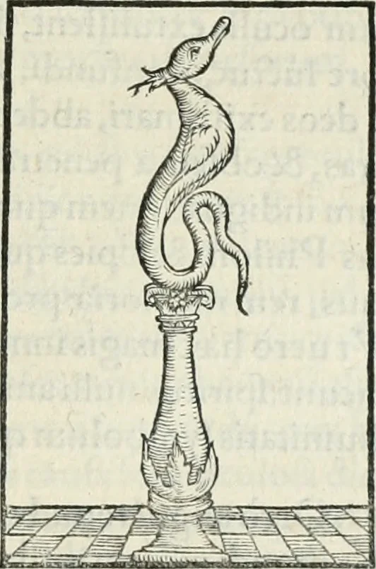 An illustration from Hieroglyphica, siue, De sacris Aegyptiorum literis commentarii, Ioannis Pierii Valeriani Bolzanii Bellunensis, 1556, leaf 214
