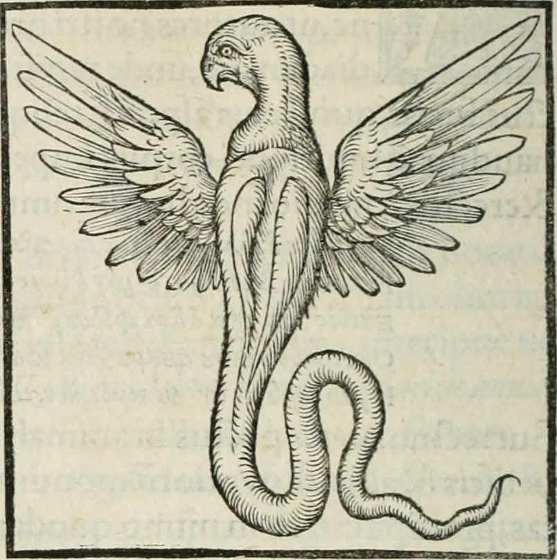 An illustration from Hieroglyphica, siue, De sacris Aegyptiorum literis commentarii, Ioannis Pierii Valeriani Bolzanii Bellunensis, 1556, leaf 215