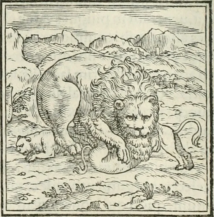 An illustration from Hieroglyphica, siue, De sacris Aegyptiorum literis commentarii, Ioannis Pierii Valeriani Bolzanii Bellunensis, 1556, leaf 23
