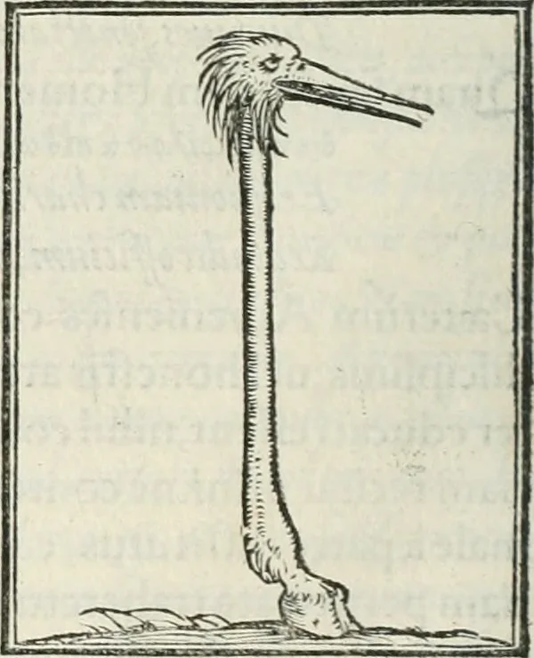 An illustration from Hieroglyphica, siue, De sacris Aegyptiorum literis commentarii, Ioannis Pierii Valeriani Bolzanii Bellunensis, 1556, leaf 253