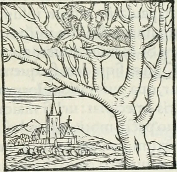 An illustration from Hieroglyphica, siue, De sacris Aegyptiorum literis commentarii, Ioannis Pierii Valeriani Bolzanii Bellunensis, 1556, leaf 254