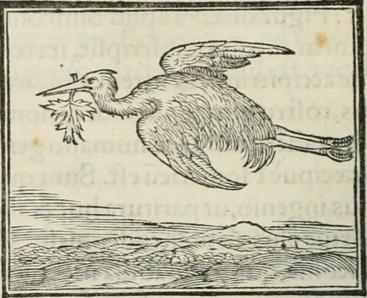 An illustration from Hieroglyphica, siue, De sacris Aegyptiorum literis commentarii, Ioannis Pierii Valeriani Bolzanii Bellunensis, 1556, leaf 255