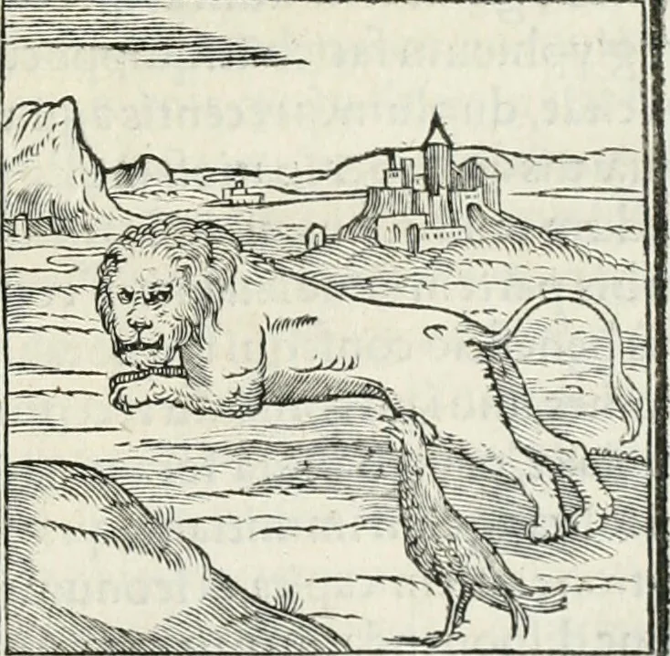 An illustration from Hieroglyphica, siue, De sacris Aegyptiorum literis commentarii, Ioannis Pierii Valeriani Bolzanii Bellunensis, 1556, leaf 26