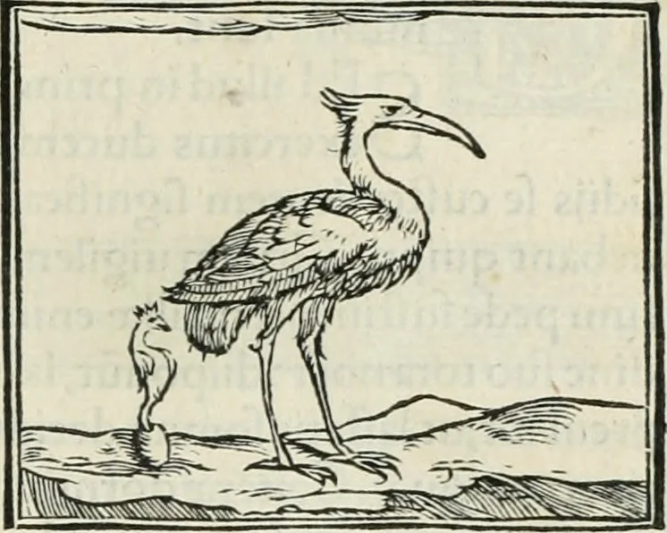 An illustration from Hieroglyphica, siue, De sacris Aegyptiorum literis commentarii, Ioannis Pierii Valeriani Bolzanii Bellunensis, 1556, leaf 260
