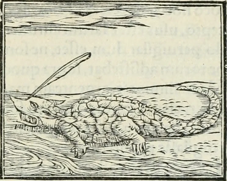 An illustration from Hieroglyphica, siue, De sacris Aegyptiorum literis commentarii, Ioannis Pierii Valeriani Bolzanii Bellunensis, 1556, leaf 260