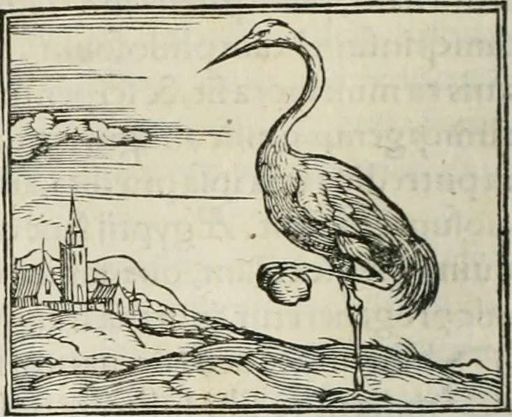 An illustration from Hieroglyphica, siue, De sacris Aegyptiorum literis commentarii, Ioannis Pierii Valeriani Bolzanii Bellunensis, 1556, leaf 261