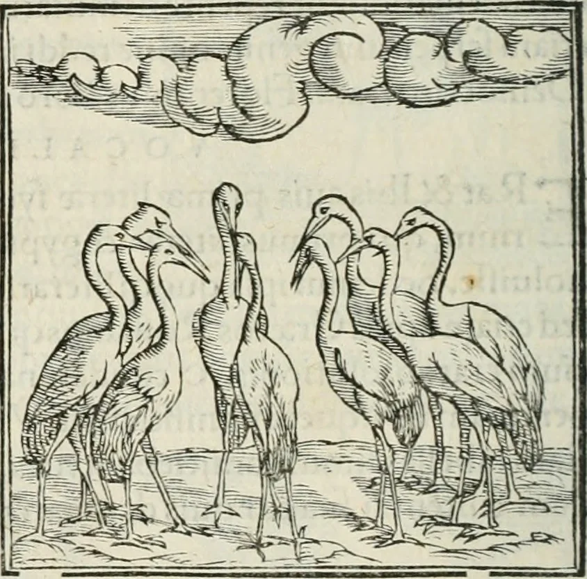 An illustration from Hieroglyphica, siue, De sacris Aegyptiorum literis commentarii, Ioannis Pierii Valeriani Bolzanii Bellunensis, 1556, leaf 261