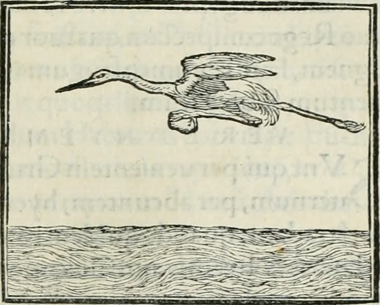 An illustration from Hieroglyphica, siue, De sacris Aegyptiorum literis commentarii, Ioannis Pierii Valeriani Bolzanii Bellunensis, 1556, leaf 262