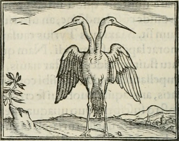 An illustration from Hieroglyphica, siue, De sacris Aegyptiorum literis commentarii, Ioannis Pierii Valeriani Bolzanii Bellunensis, 1556, leaf 263