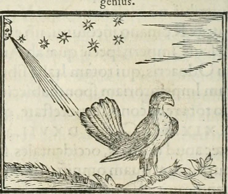An illustration from Hieroglyphica, siue, De sacris Aegyptiorum literis commentarii, Ioannis Pierii Valeriani Bolzanii Bellunensis, 1556, leaf 267