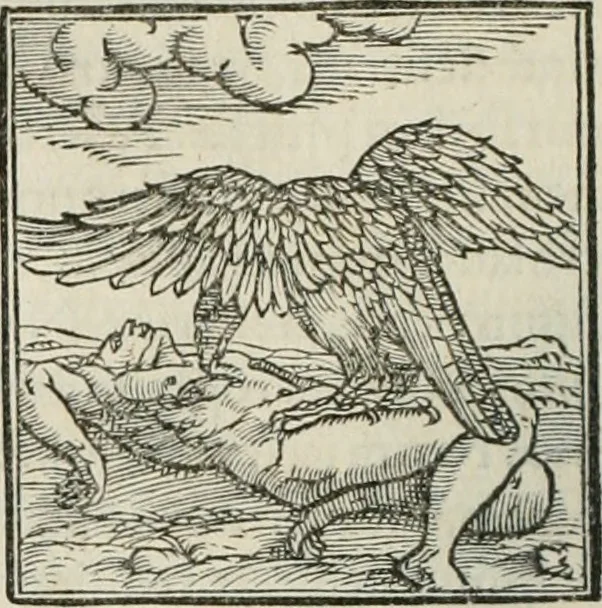 An illustration from Hieroglyphica, siue, De sacris Aegyptiorum literis commentarii, Ioannis Pierii Valeriani Bolzanii Bellunensis, 1556, leaf 271