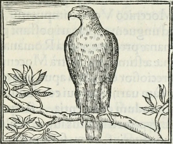 An illustration from Hieroglyphica, siue, De sacris Aegyptiorum literis commentarii, Ioannis Pierii Valeriani Bolzanii Bellunensis, 1556, leaf 276