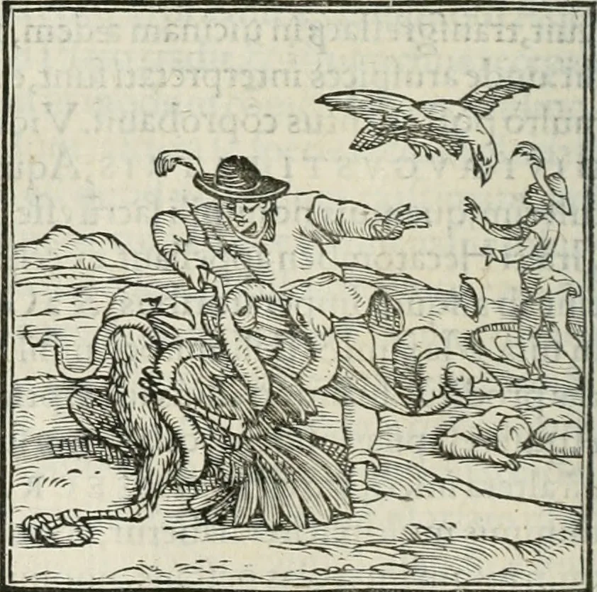 An illustration from Hieroglyphica, siue, De sacris Aegyptiorum literis commentarii, Ioannis Pierii Valeriani Bolzanii Bellunensis, 1556, leaf 283