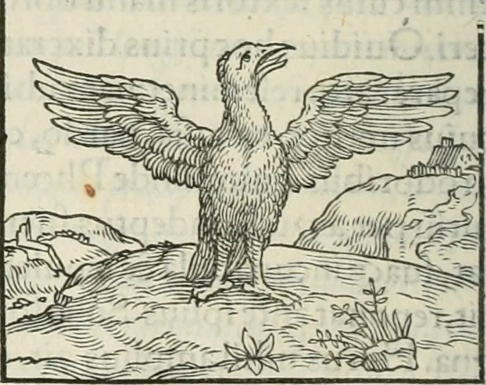 An illustration from Hieroglyphica, siue, De sacris Aegyptiorum literis commentarii, Ioannis Pierii Valeriani Bolzanii Bellunensis, 1556, leaf 293