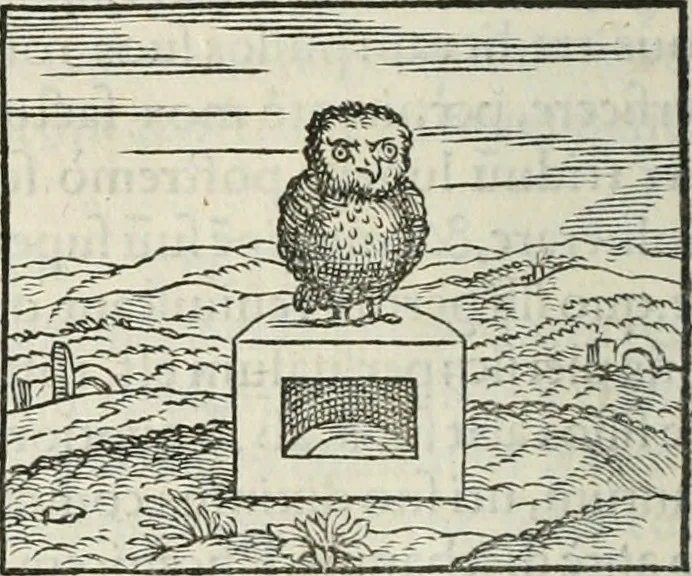 An illustration from Hieroglyphica, siue, De sacris Aegyptiorum literis commentarii, Ioannis Pierii Valeriani Bolzanii Bellunensis, 1556, leaf 297