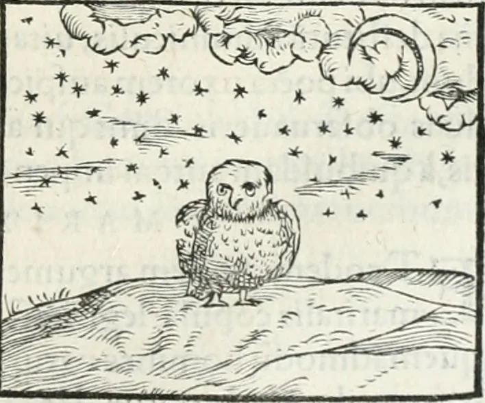 An illustration from Hieroglyphica, siue, De sacris Aegyptiorum literis commentarii, Ioannis Pierii Valeriani Bolzanii Bellunensis, 1556, leaf 300