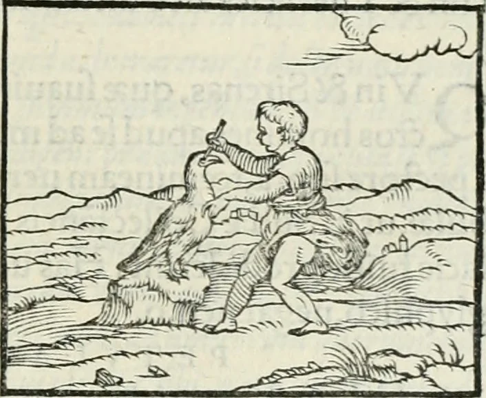 An illustration from Hieroglyphica, siue, De sacris Aegyptiorum literis commentarii, Ioannis Pierii Valeriani Bolzanii Bellunensis, 1556, leaf 304