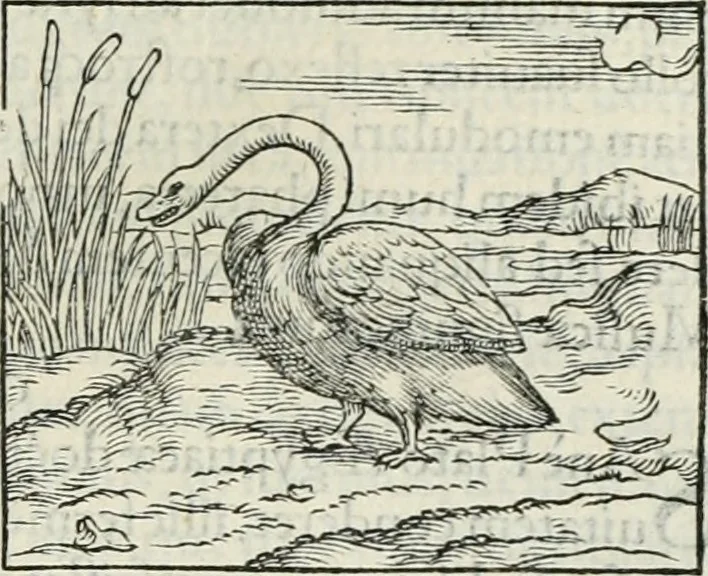 An illustration from Hieroglyphica, siue, De sacris Aegyptiorum literis commentarii, Ioannis Pierii Valeriani Bolzanii Bellunensis, 1556, leaf 334