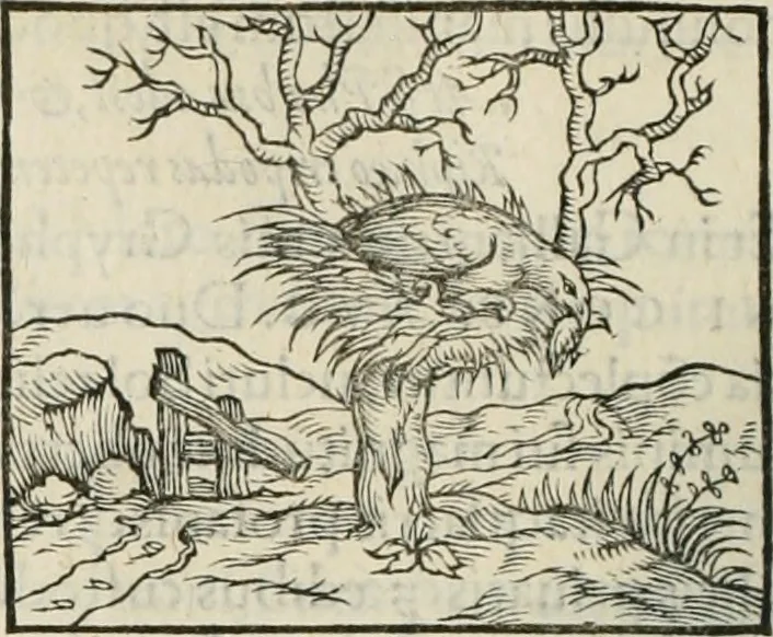 An illustration from Hieroglyphica, siue, De sacris Aegyptiorum literis commentarii, Ioannis Pierii Valeriani Bolzanii Bellunensis, 1556, leaf 341