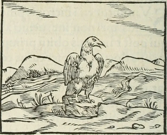 An illustration from Hieroglyphica, siue, De sacris Aegyptiorum literis commentarii, Ioannis Pierii Valeriani Bolzanii Bellunensis, 1556, leaf 343