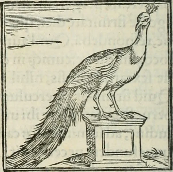 An illustration from Hieroglyphica, siue, De sacris Aegyptiorum literis commentarii, Ioannis Pierii Valeriani Bolzanii Bellunensis, 1556, leaf 345
