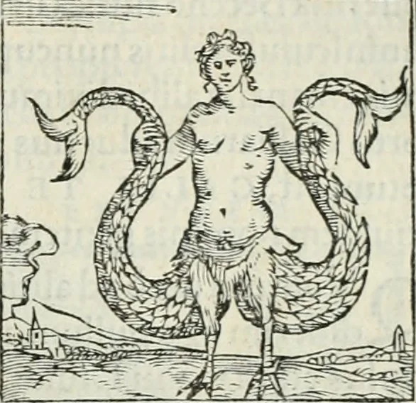 An illustration from Hieroglyphica, siue, De sacris Aegyptiorum literis commentarii, Ioannis Pierii Valeriani Bolzanii Bellunensis, 1556, leaf 348