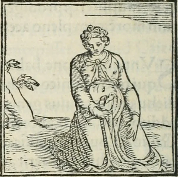 An illustration from Hieroglyphica, siue, De sacris Aegyptiorum literis commentarii, Ioannis Pierii Valeriani Bolzanii Bellunensis, 1556, leaf 349