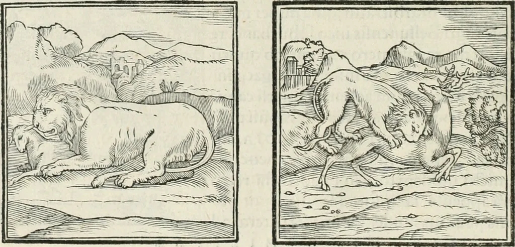 An illustration from Hieroglyphica, siue, De sacris Aegyptiorum literis commentarii, Ioannis Pierii Valeriani Bolzanii Bellunensis, 1556, leaf 35