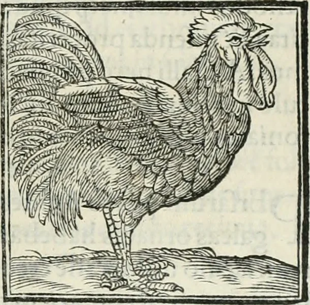 An illustration from Hieroglyphica, siue, De sacris Aegyptiorum literis commentarii, Ioannis Pierii Valeriani Bolzanii Bellunensis, 1556, leaf 350