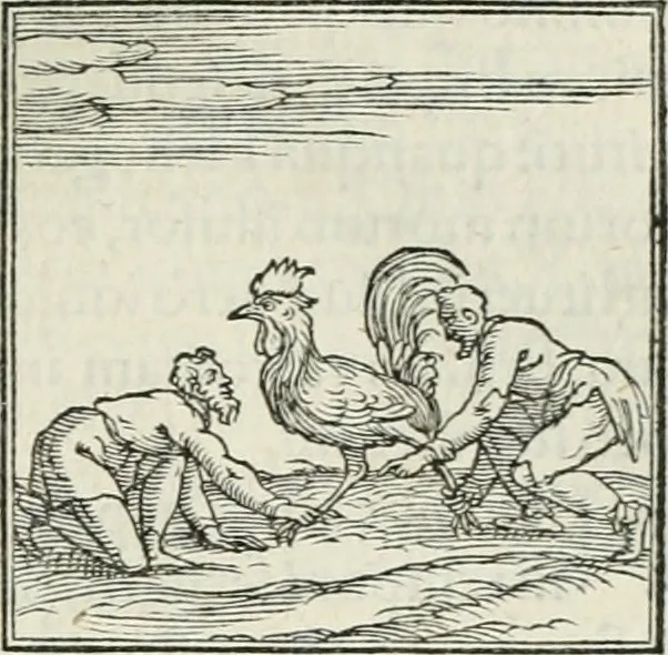 An illustration from Hieroglyphica, siue, De sacris Aegyptiorum literis commentarii, Ioannis Pierii Valeriani Bolzanii Bellunensis, 1556, leaf 352
