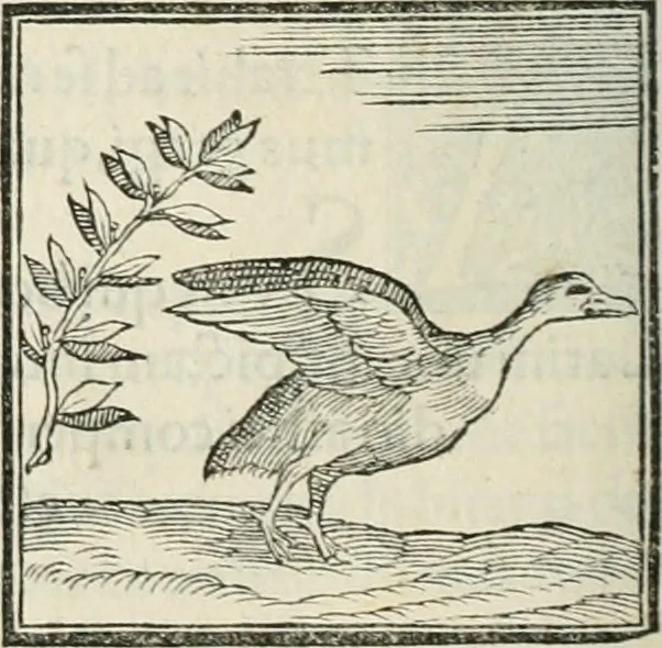 An illustration from Hieroglyphica, siue, De sacris Aegyptiorum literis commentarii, Ioannis Pierii Valeriani Bolzanii Bellunensis, 1556, leaf 353