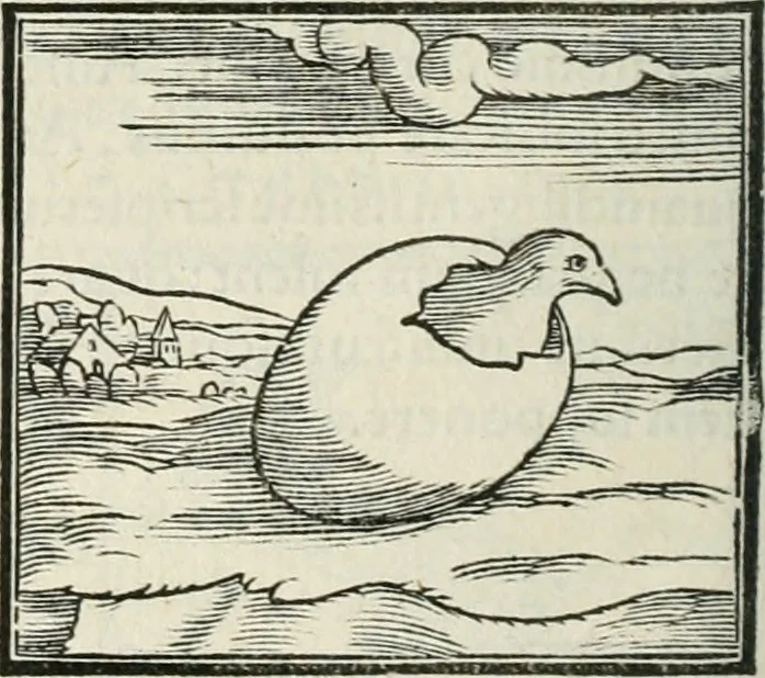 An illustration from Hieroglyphica, siue, De sacris Aegyptiorum literis commentarii, Ioannis Pierii Valeriani Bolzanii Bellunensis, 1556, leaf 355