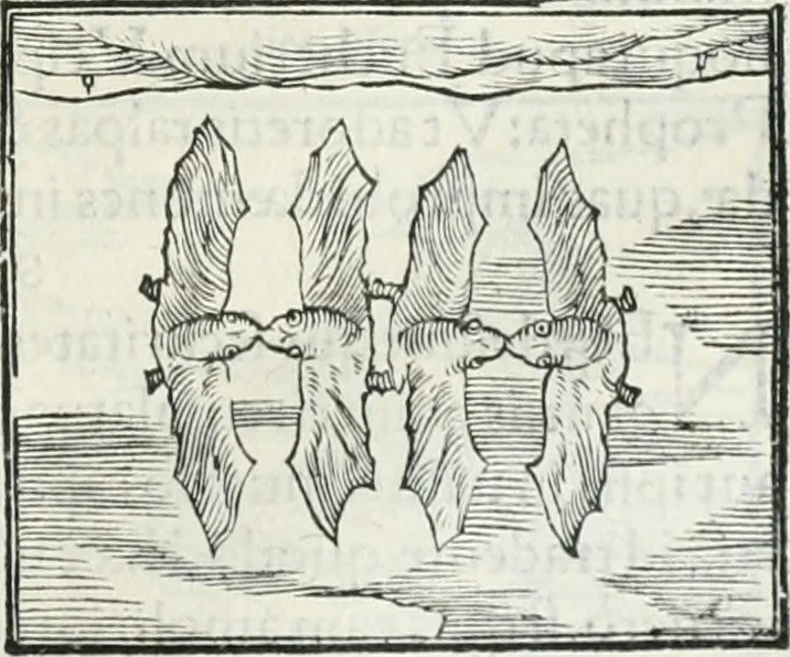 An illustration from Hieroglyphica, siue, De sacris Aegyptiorum literis commentarii, Ioannis Pierii Valeriani Bolzanii Bellunensis, 1556, leaf 362